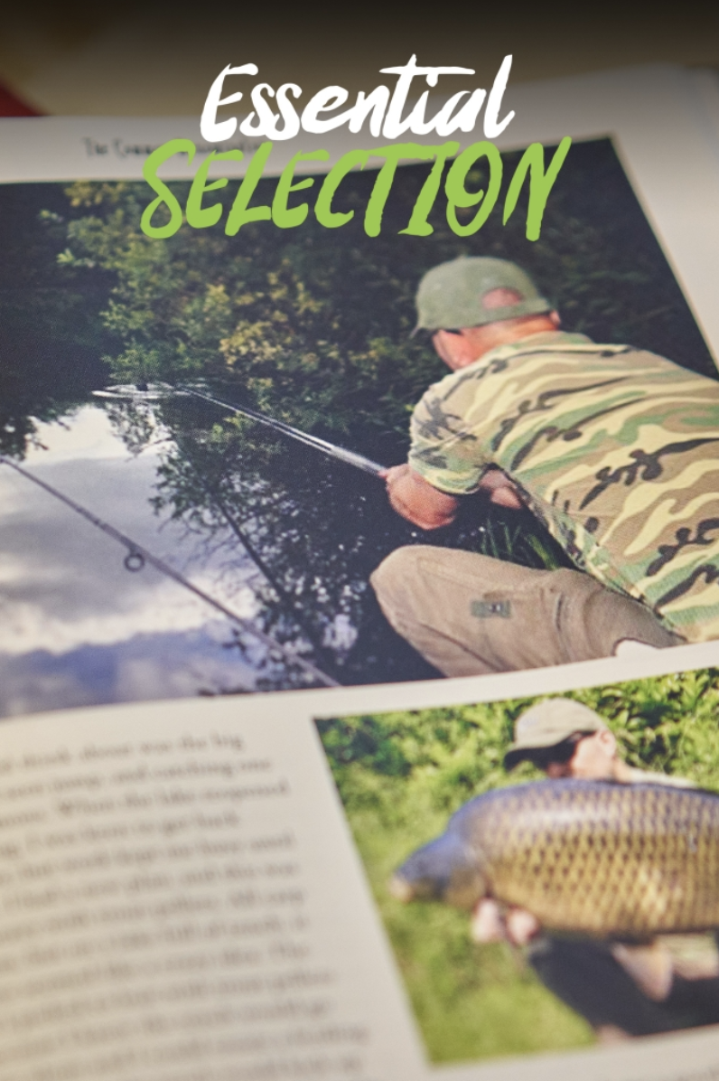 Dave Levy | Essential Selection 
