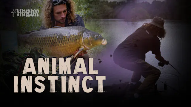 Animal Instinct | Jake The Heron | S1...