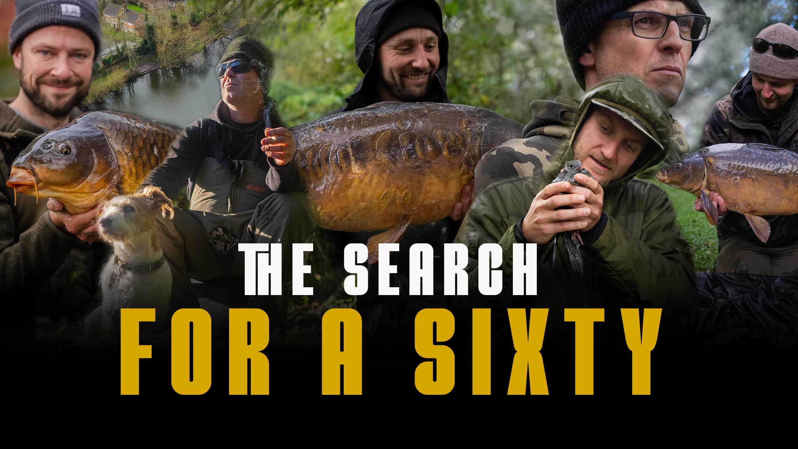 The Search For A Sixty