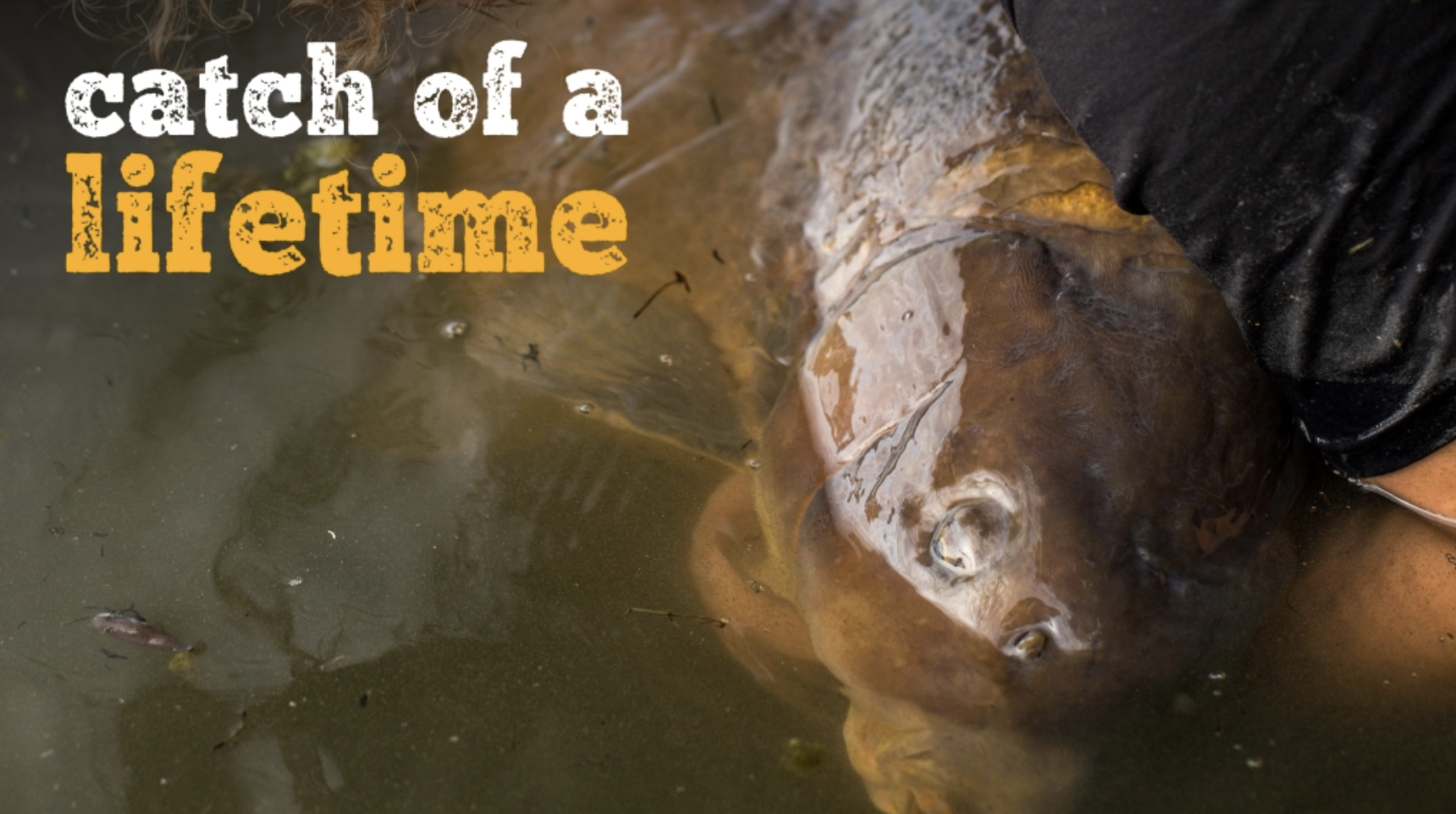 Luke Stevenson | Catch Of A Lifetime 