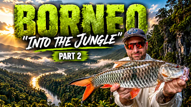 The Borneo Jungle Pt.2 | Toby Henwood...