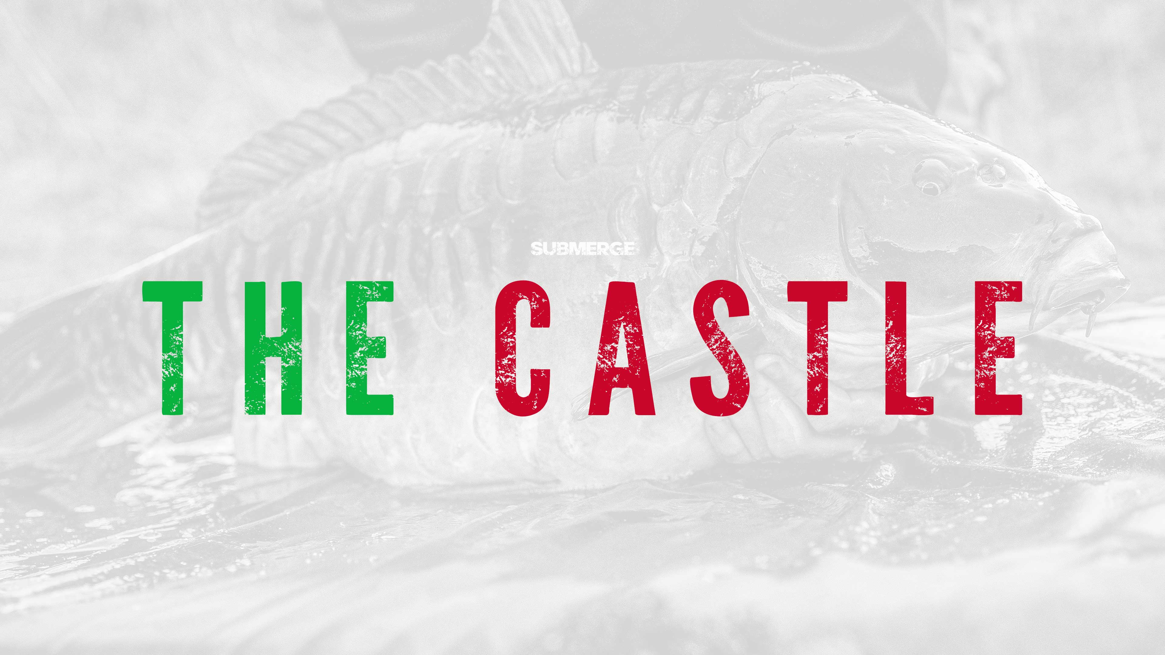 The Approach | Elliott Gray | C13: Ep.1