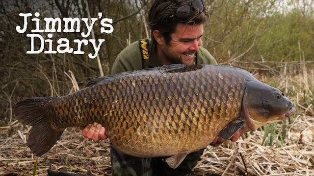 Carp In The Park | James Armstrong | ...