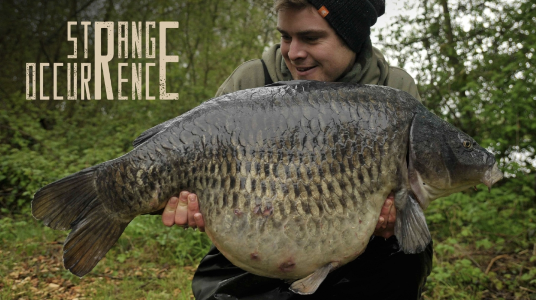 James Armstrong | Strange Occurrence