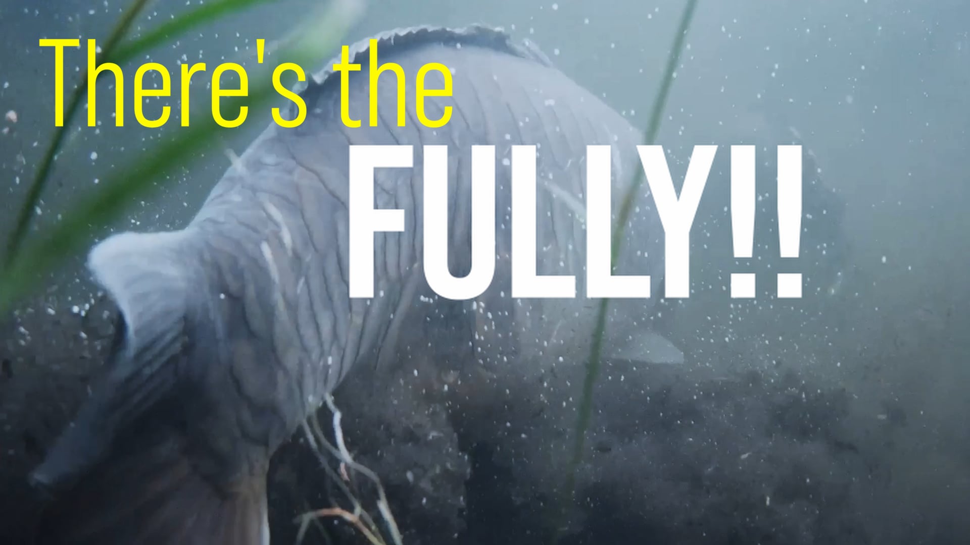 Dirty Ground | Tom Stokes & Nigel Sharp | Series Trailer