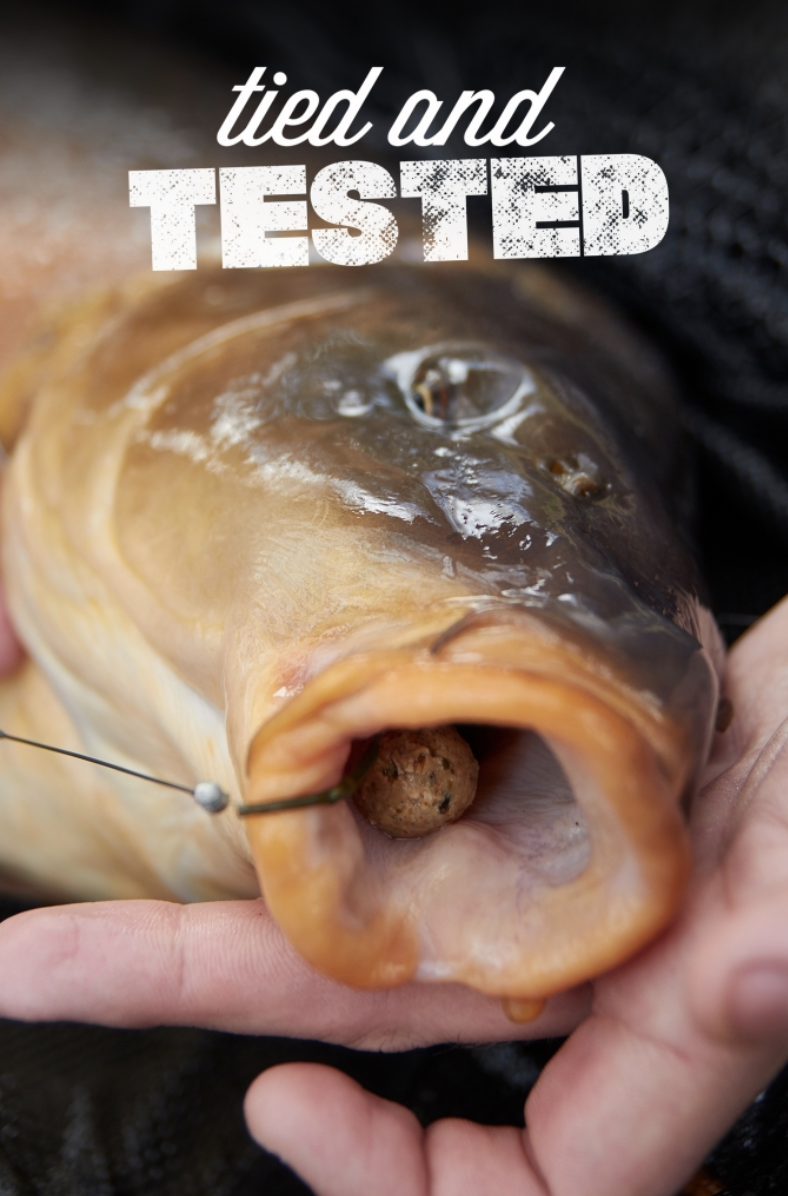 The Pop-Aligner | Elliott Gray | S1: Ep.1