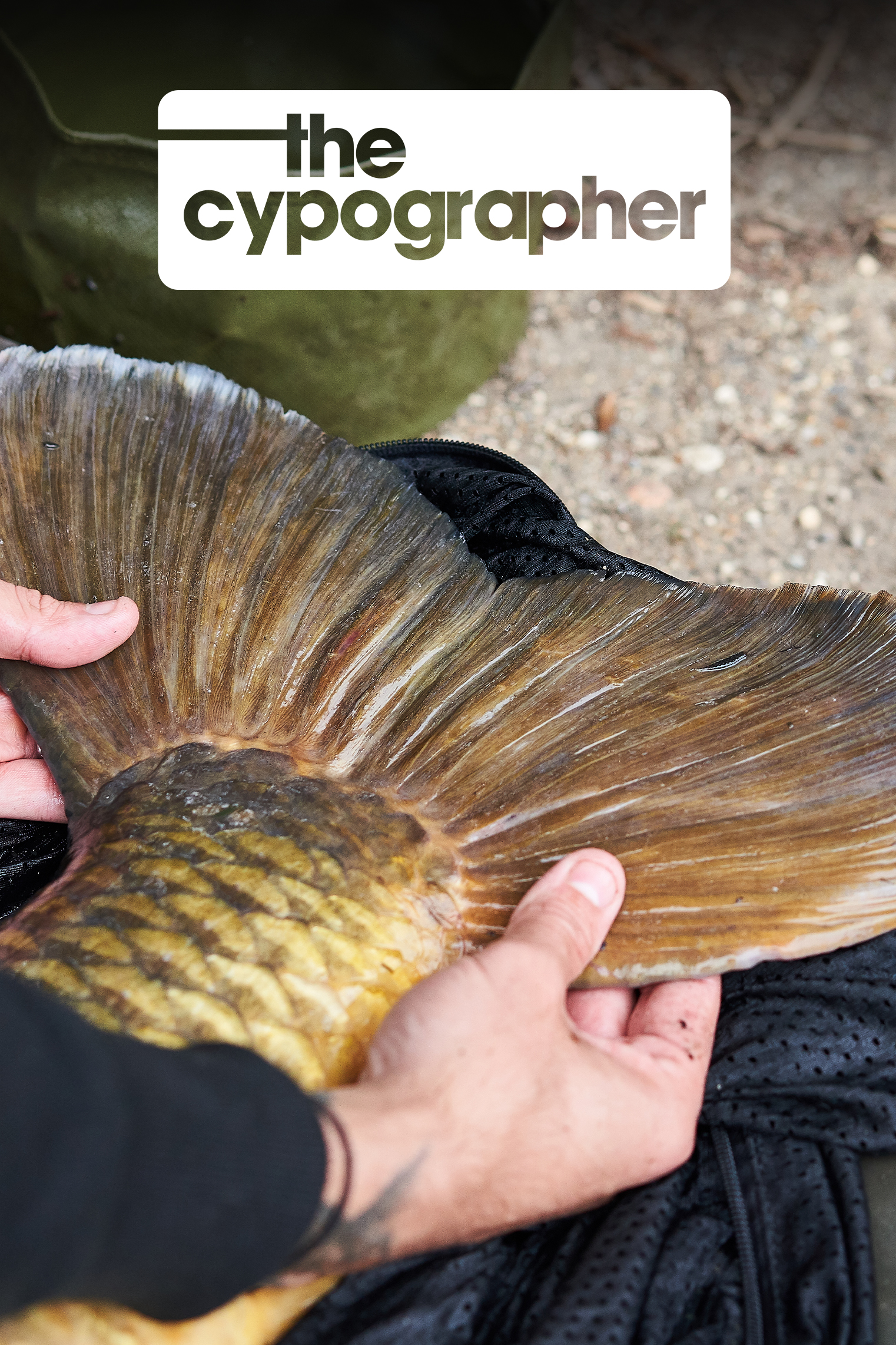 Effort Equals Reward | Elliott Gray | S2: Ep.1