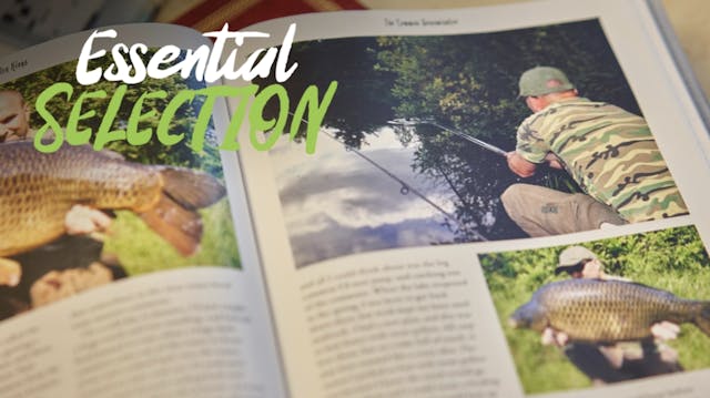 Dave Levy | Essential Selection