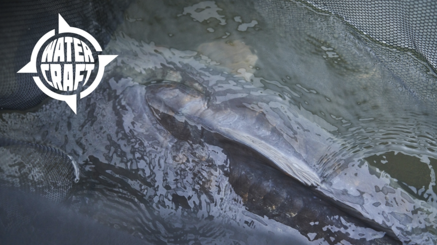 Darrell Peck | Watercraft