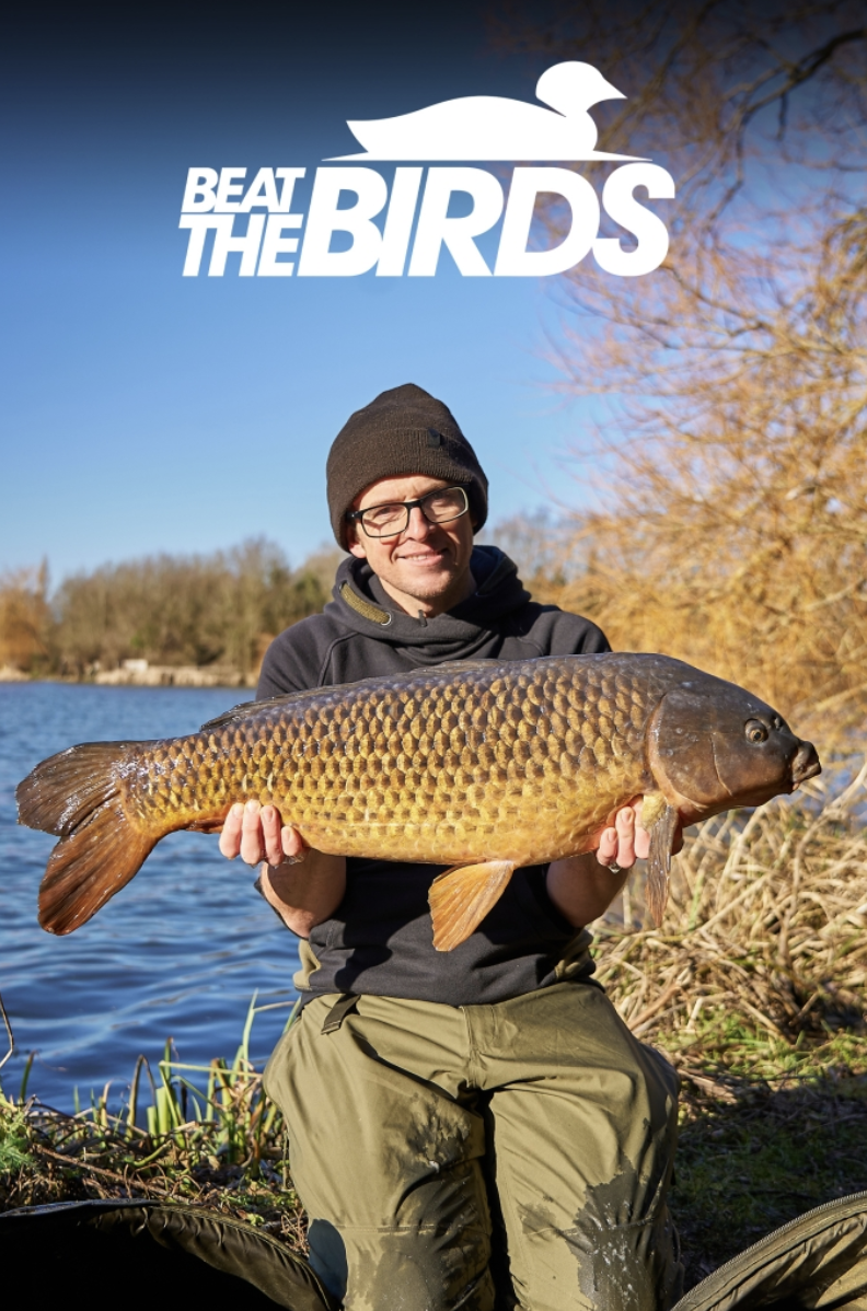 Neil Spooner | Beat The Birds