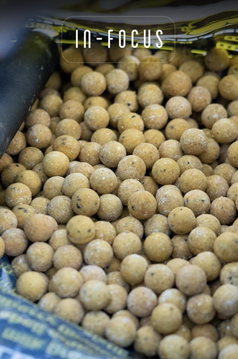 Matured Bait | Jim Shelley | In-Focus