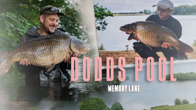 Dodds Pool | Scott Lloyd | S1: Ep.1