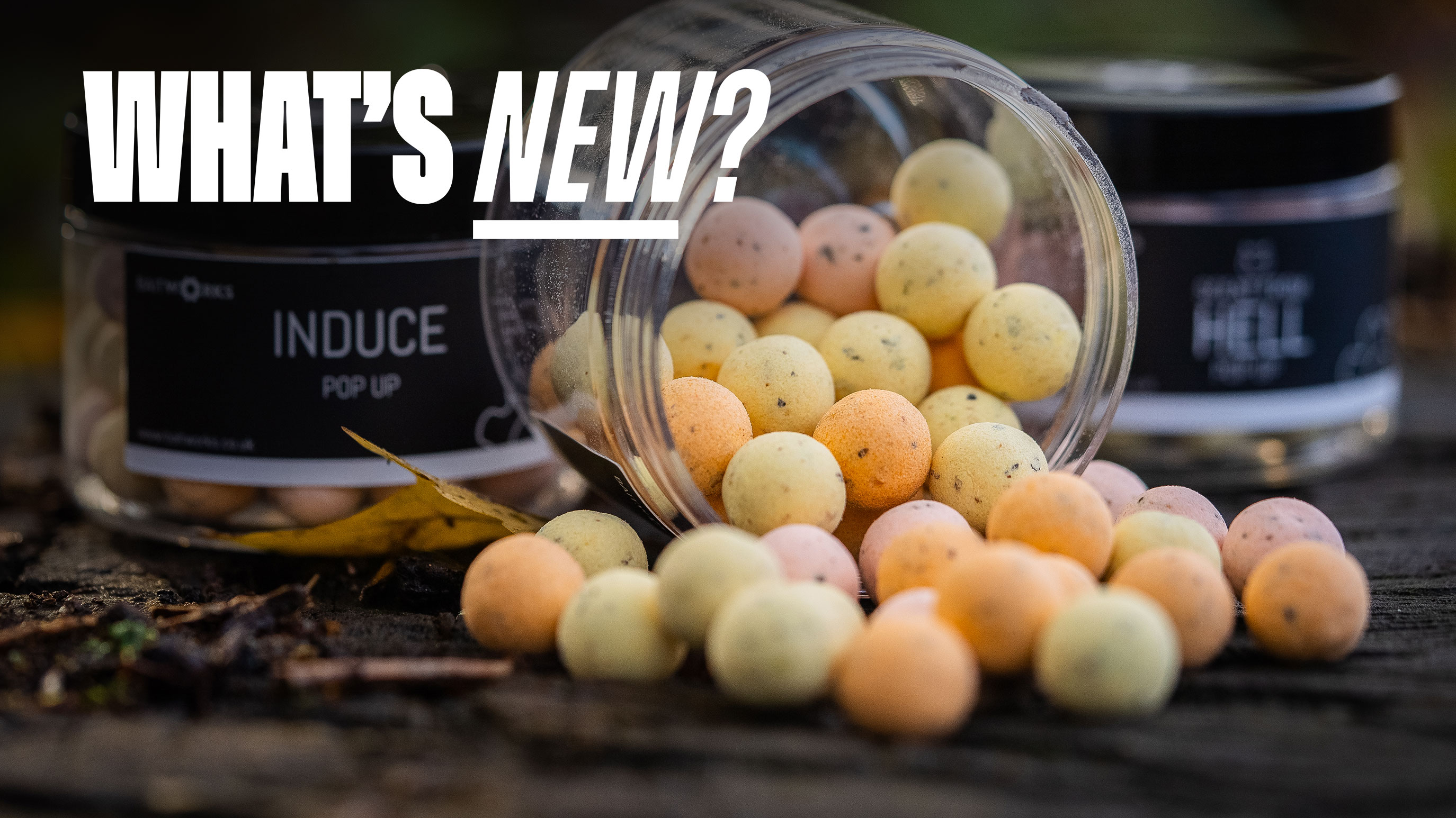 Baitworks Pastel Hookbaits | What's New?