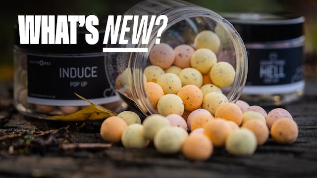 Baitworks Pastel Hookbaits | What's New?