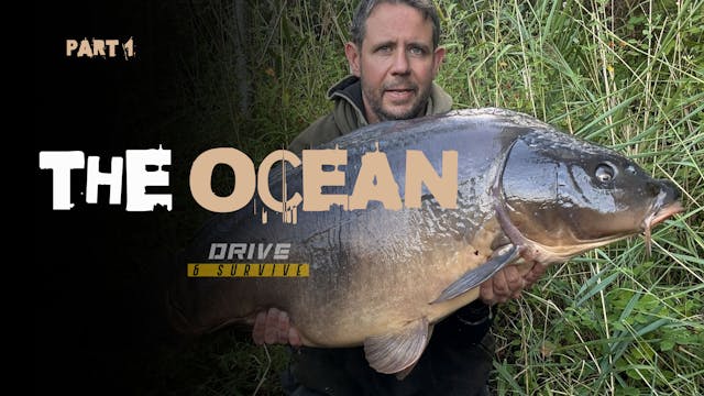 The Ocean I John Timmermans | S3: Ep8