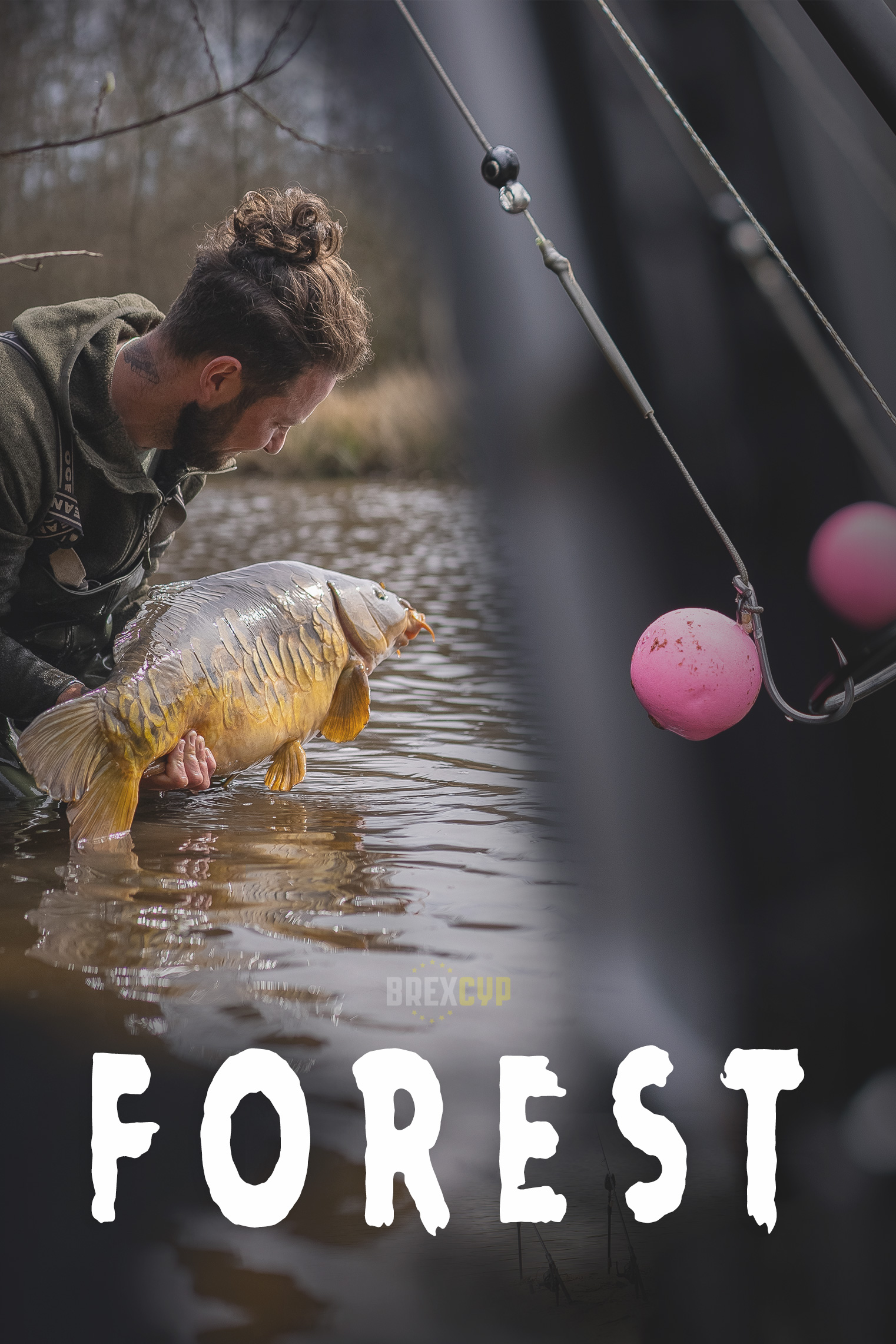 Forest | Elliott Gray | S3: Ep.4