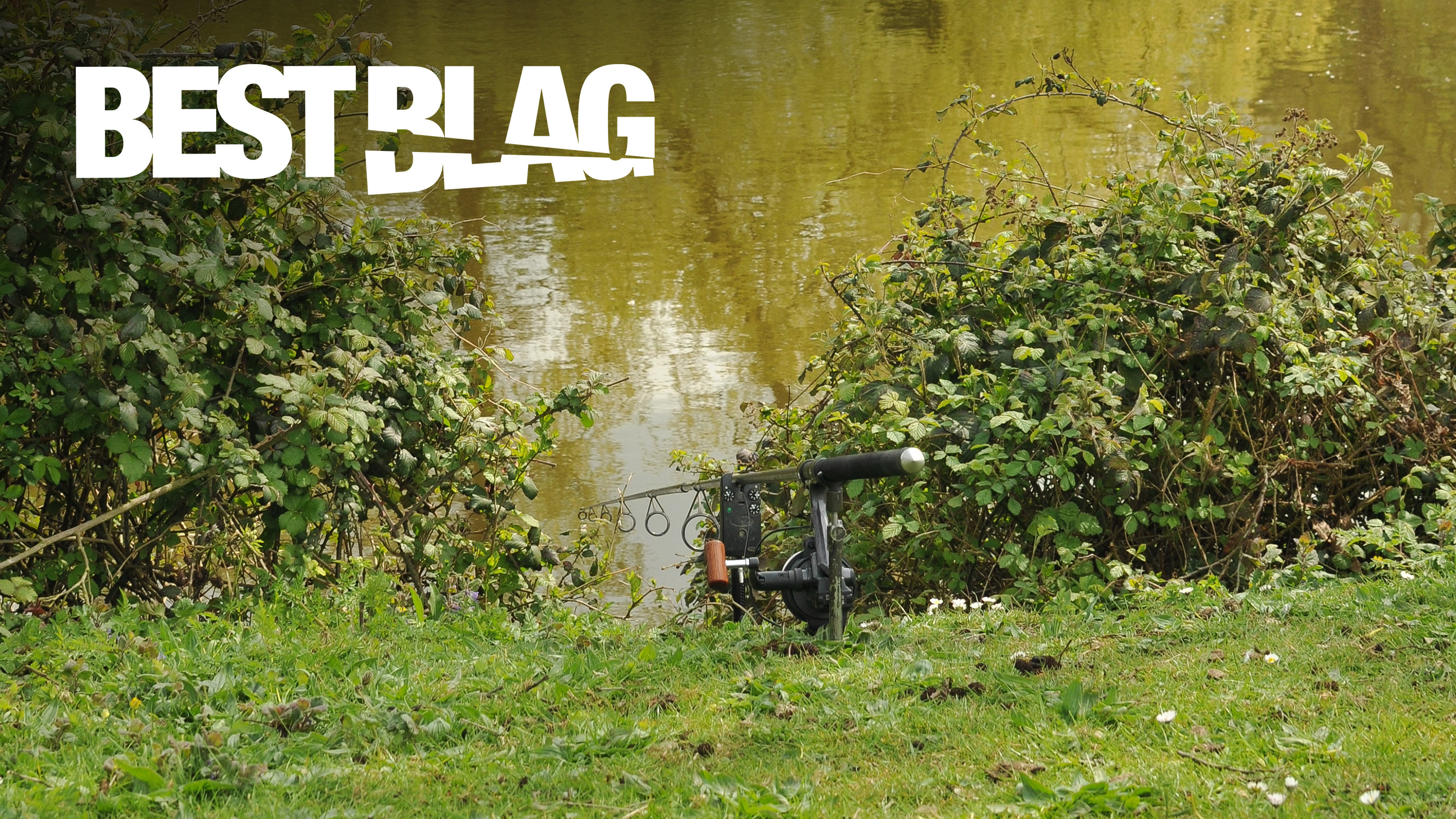 Elliott Gray | Best Blag