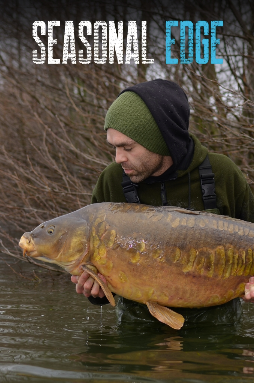 Winter | Gaz Fareham | Seasonal Edge 