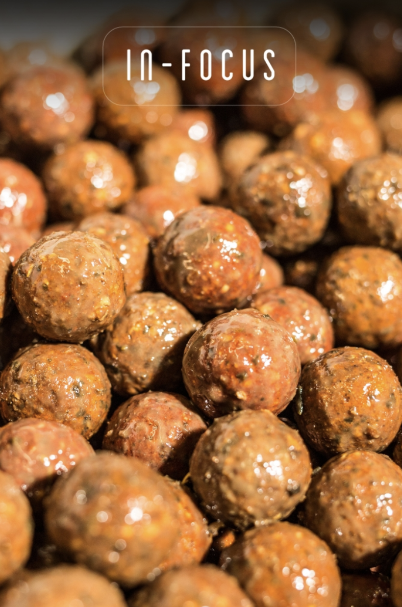 Pimp Your Boilies | Elliott Gray | In-Focus 