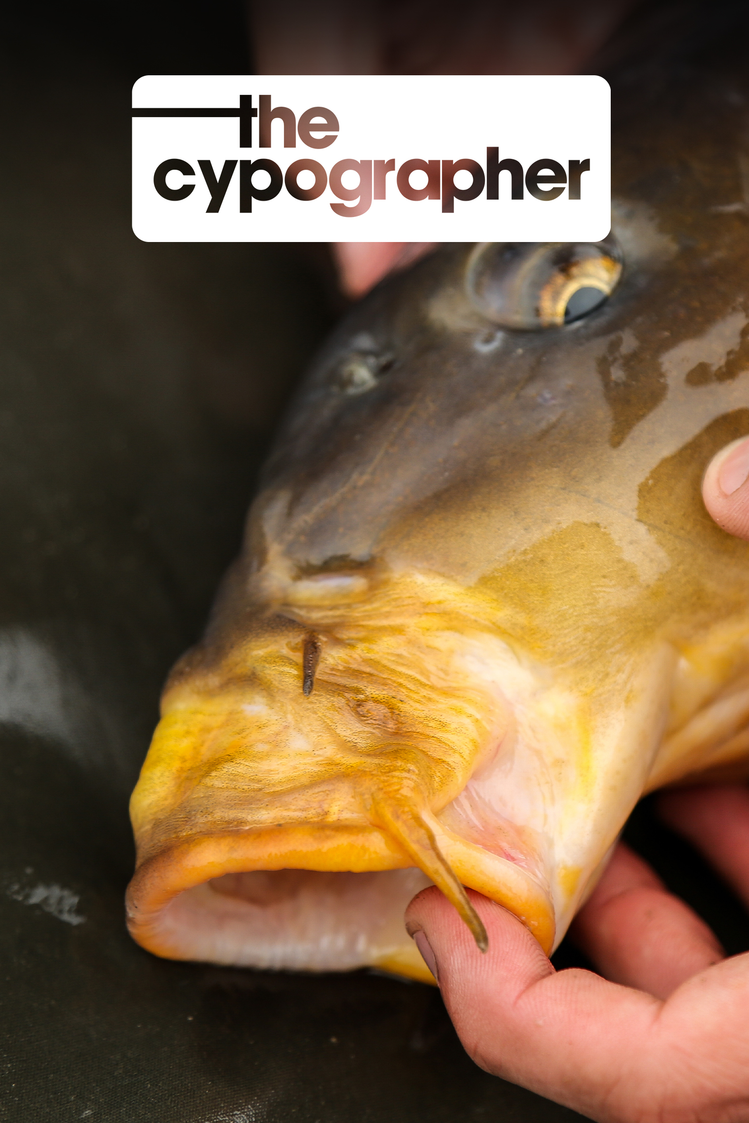 The Big Brake | Elliott Gray | S1: Ep.2