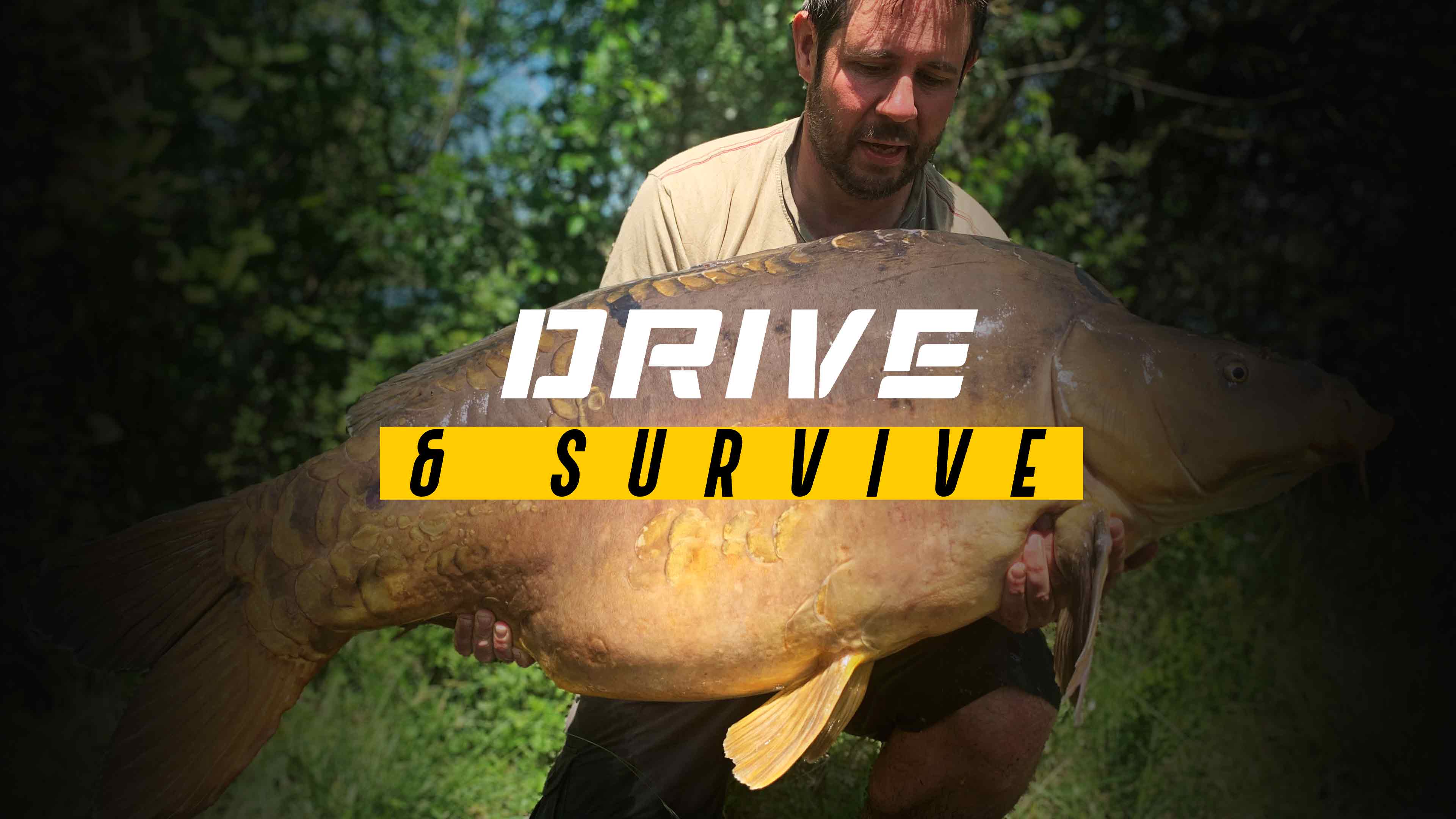 Drive & Survive