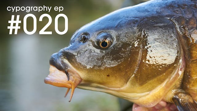 Episode #020 | May 2019