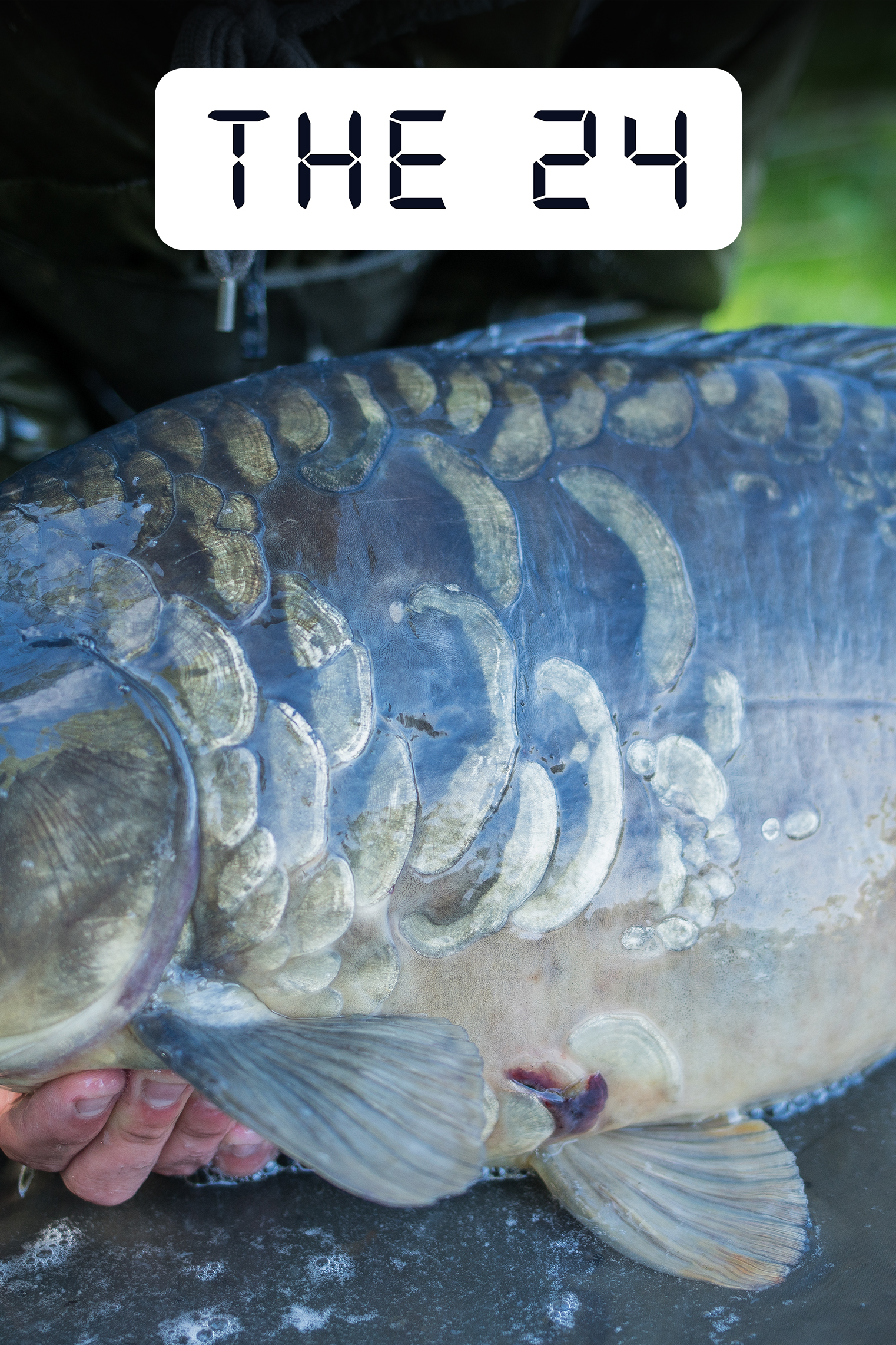 St.Johns, Linear Fisheries | Elliott Gray | S1: Ep.1 