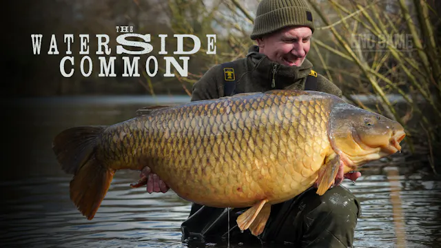 The Waterside Common | George Benos |...
