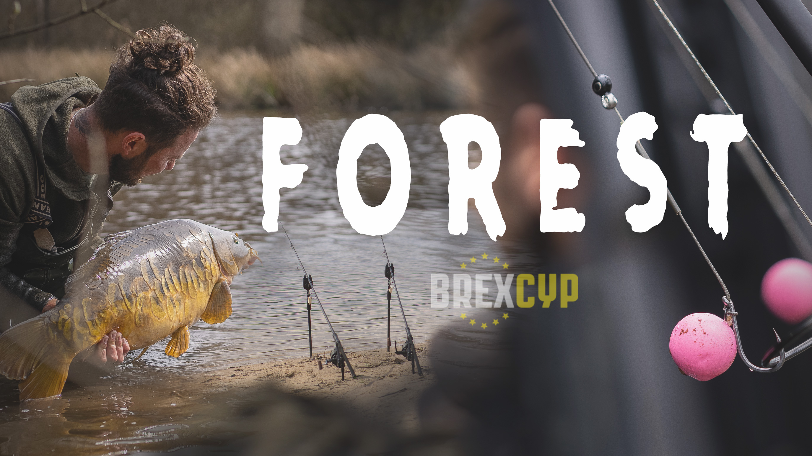 Forest | Elliott Gray | S3: Ep.4