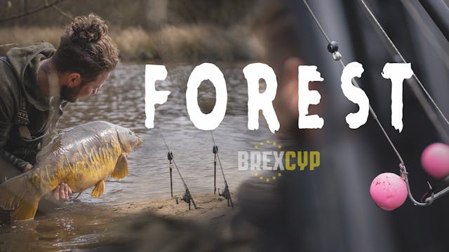 Forest | Elliott Gray | S3: Ep.4