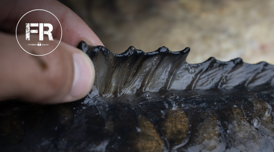 Drains III | Jack Thomson | S2: Ep.3