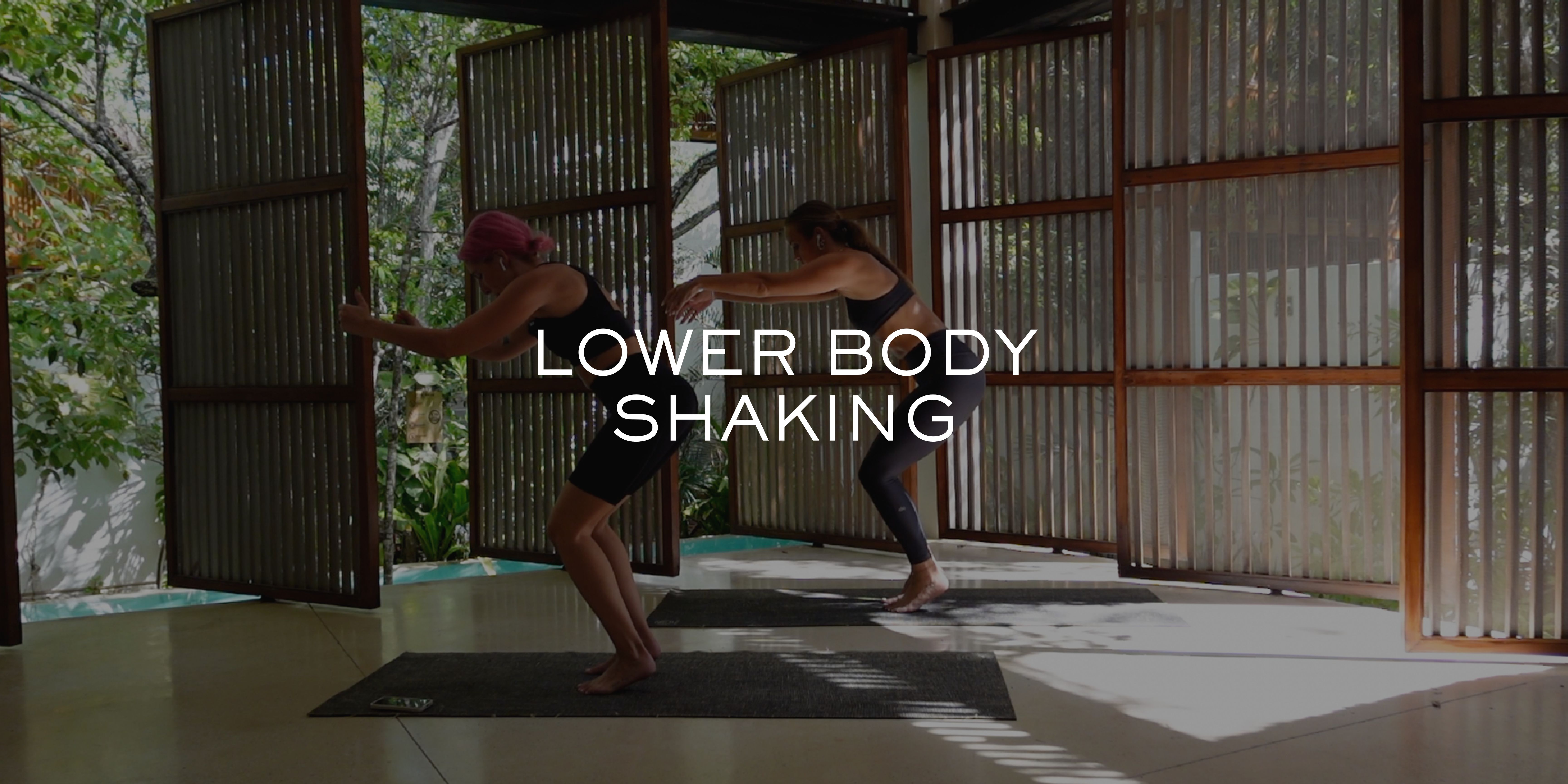 Lower Body 3 Level 'Elevator' Shake