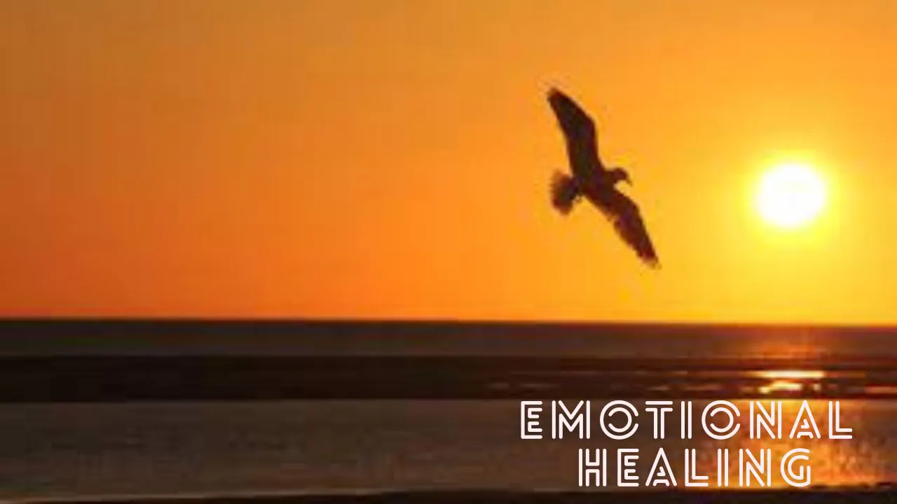 Emotional Healing 
