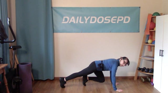 A.M.P. Class: 1.15.26