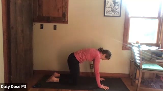 Yoga with Dana: 2.23.23