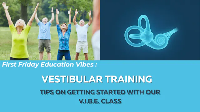 V.I.B.E.: Tips for Getting Started (9...