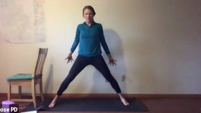 Yoga with Dana: Hip Opening (5.20.21)