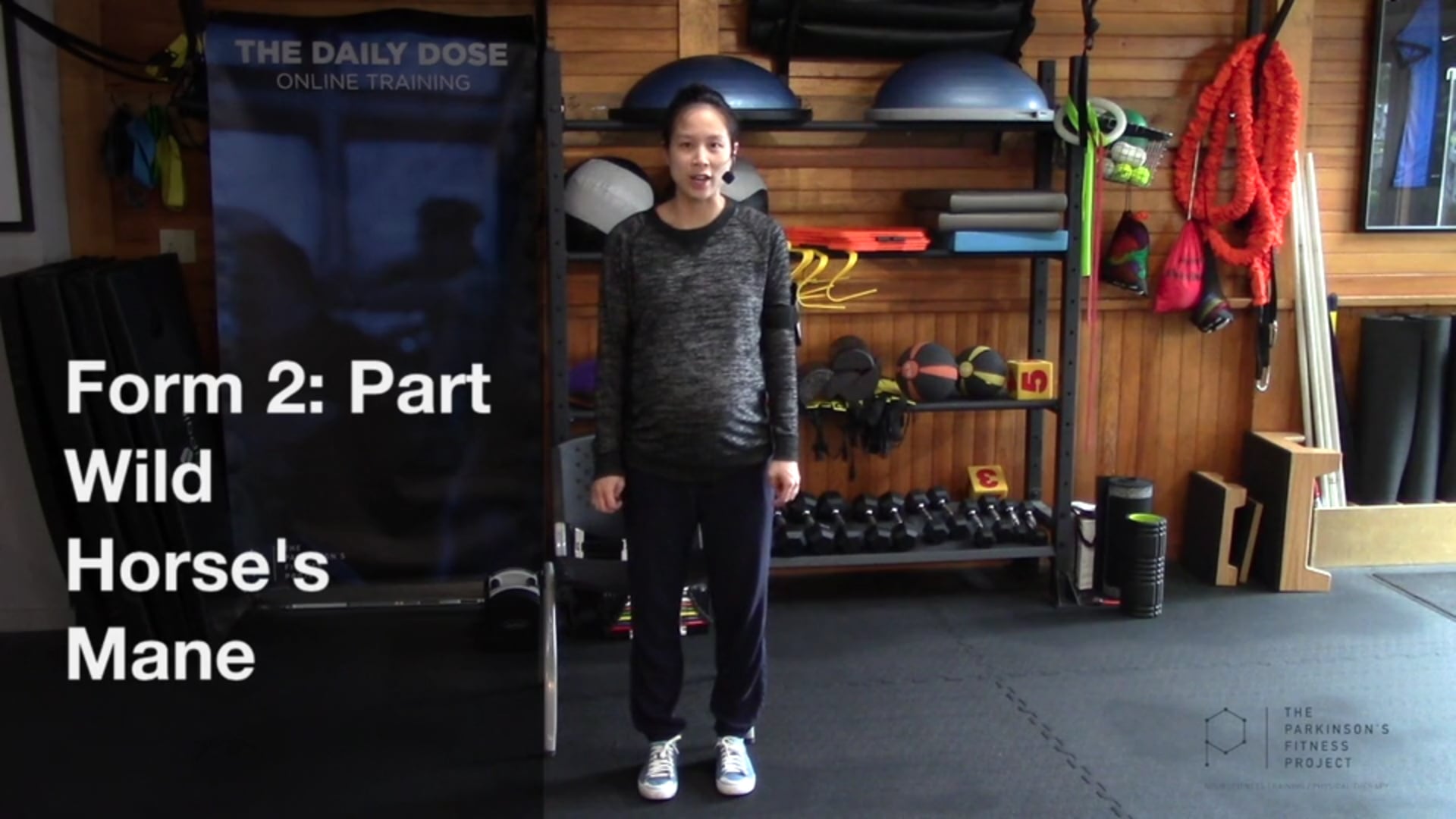 Form 2: Part Wild Horse's Mane