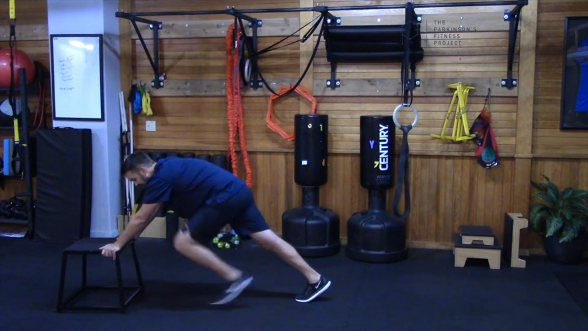 Episode 15 - Brain Body Circuit