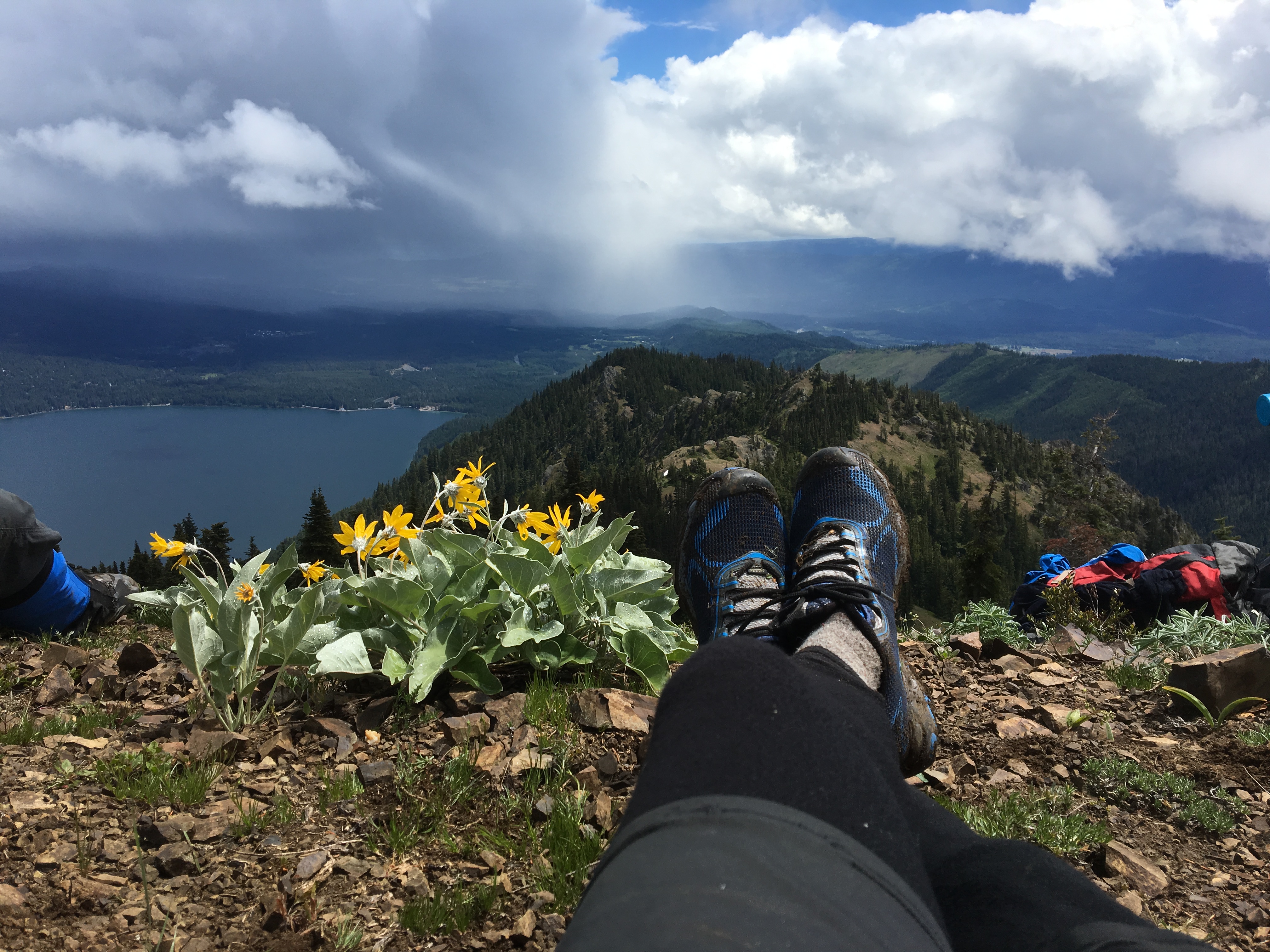 Parkie Friends: 4.15.2023