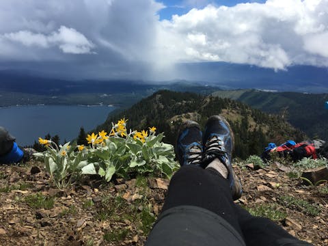 Parkie Friends: Nutrition