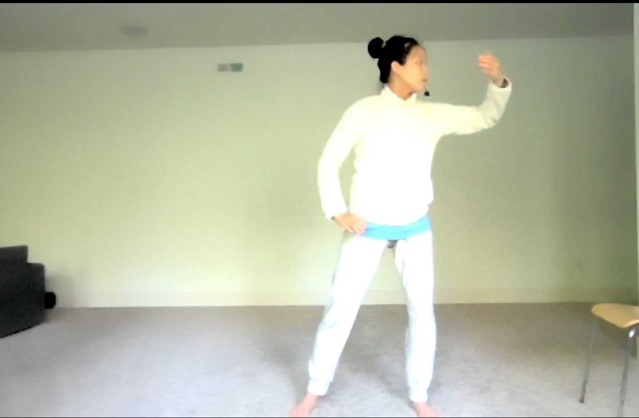 Tai Chi: Form 4, Wave Hand lIke Cloud