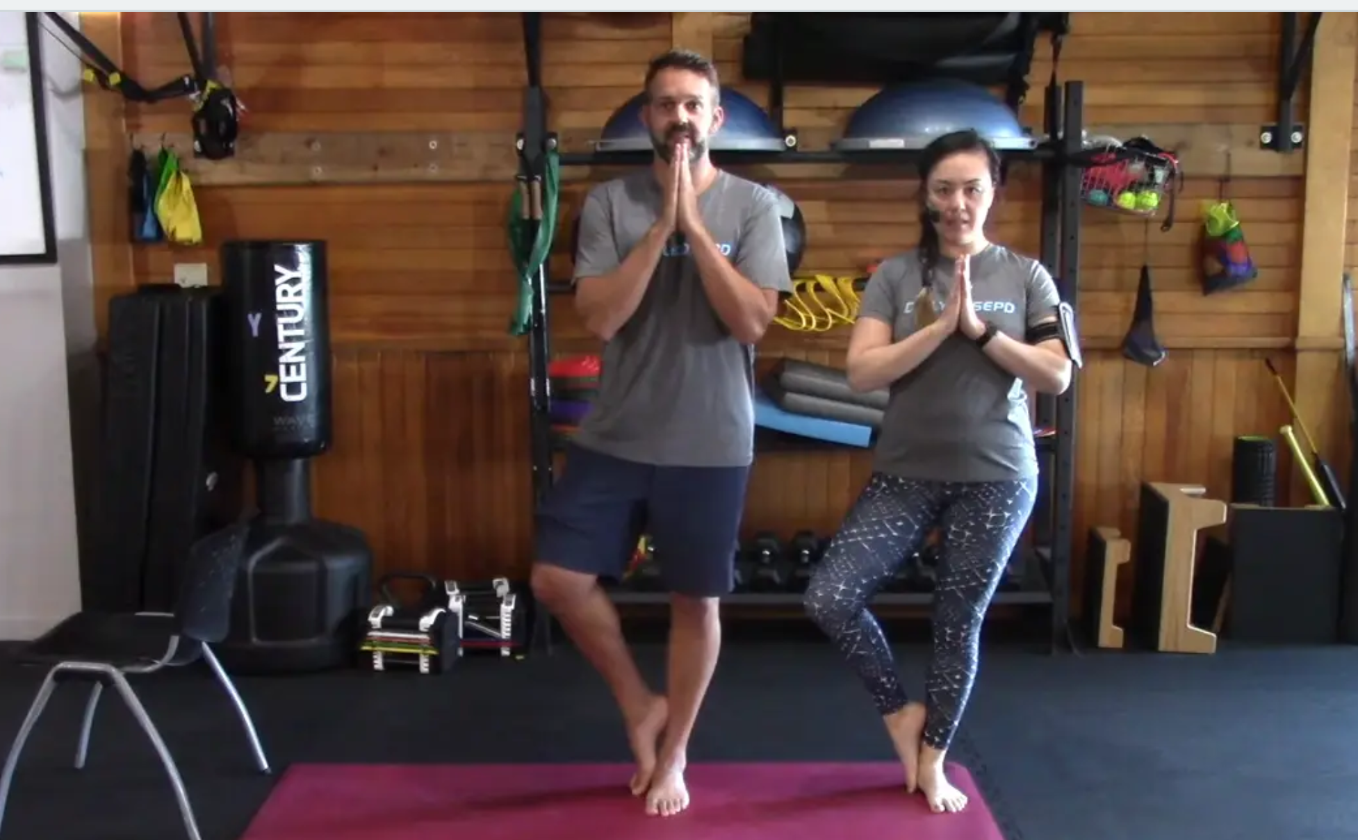 Pose Modification: Tree Pose Breakdown