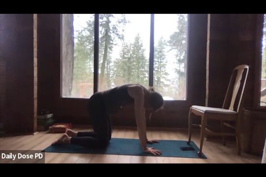 Yoga with Dana: 3.2.23