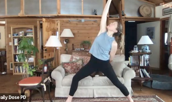 Yoga with Dana: 1.25.24