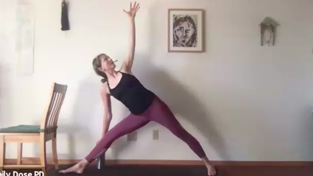 Yoga with Dana: 7.22.21