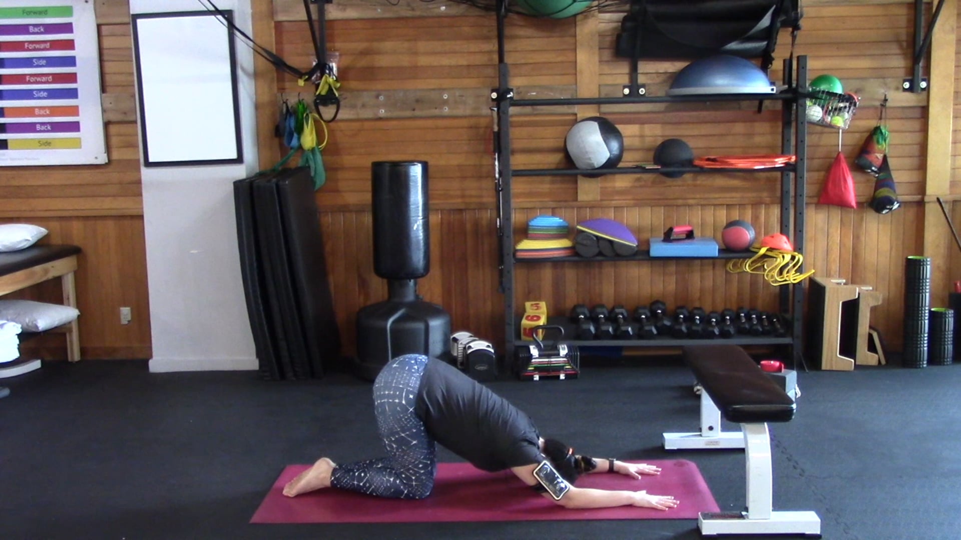 Pose Modifications: Downward Dog