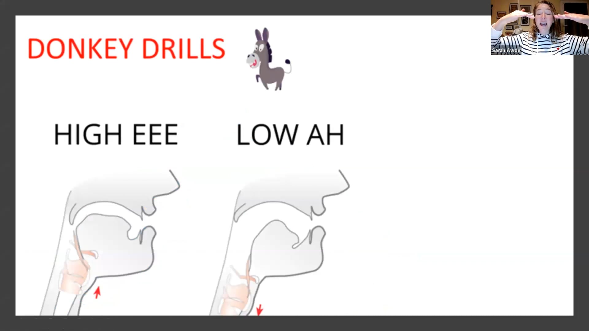 Voice Training: 11.27.24