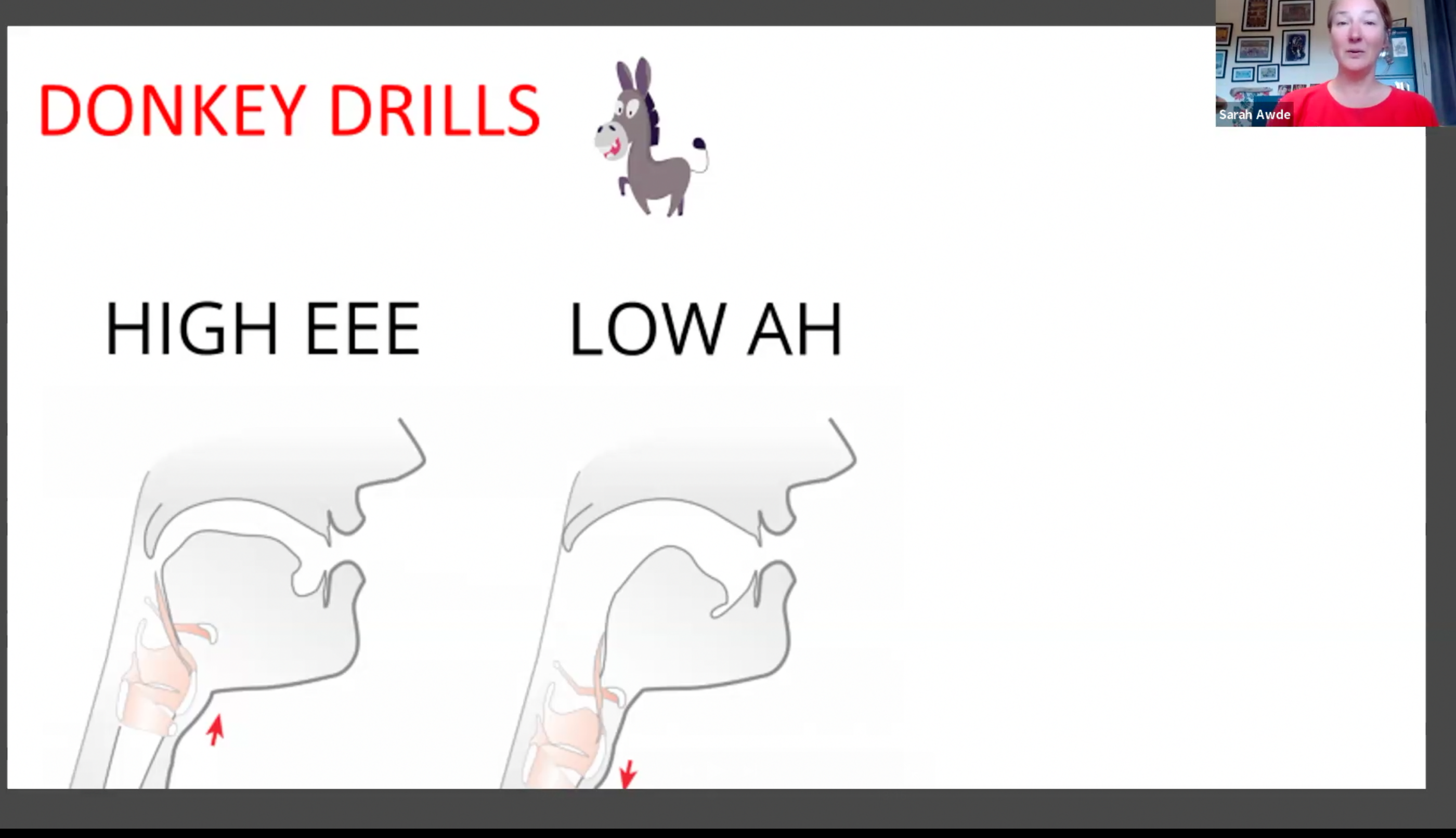 Voice Training: 4.23.25