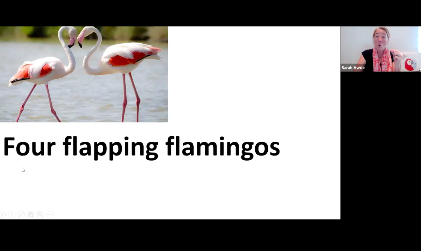 Voice Training: 11.23.22